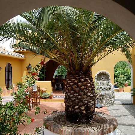 B&B Finca La Loma Comares 外观 照片