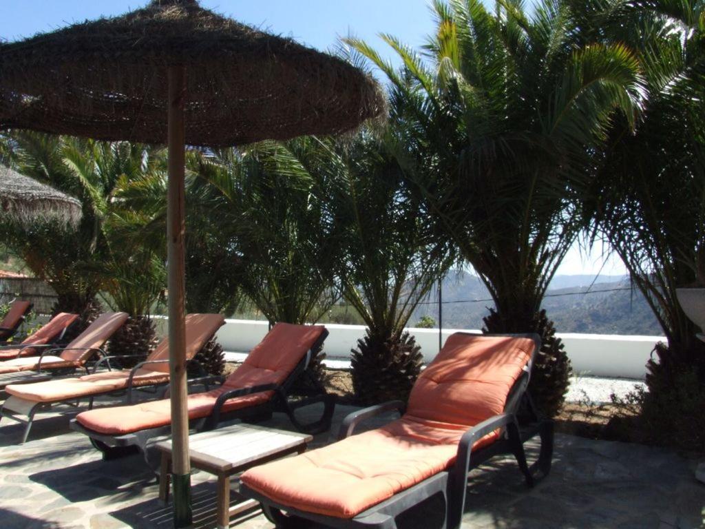 B&B Finca La Loma Comares 外观 照片