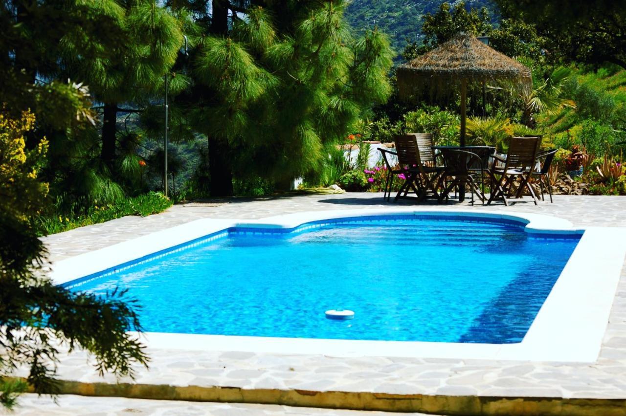 B&B Finca La Loma Comares 外观 照片